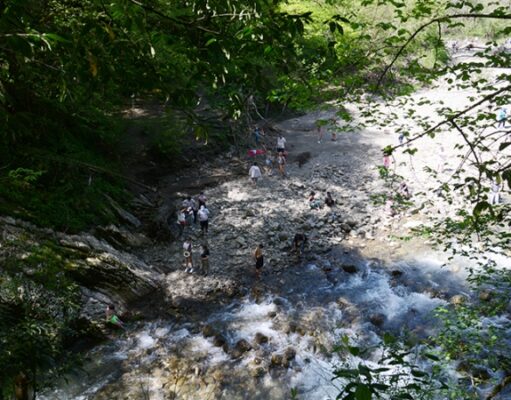 Голикова разъяснила правила посещения Кубани россиянами с медотводом от вакцинации