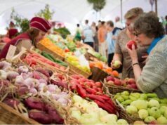 Украина, Беларусь или Польша? Эксперты рассказали, где самые дешевые овощи и фрукты