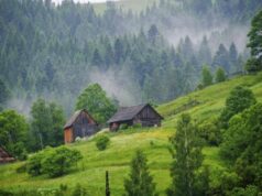 «Начинаем жить в долг»: Украина израсходовала все природные ресурсы на этот год