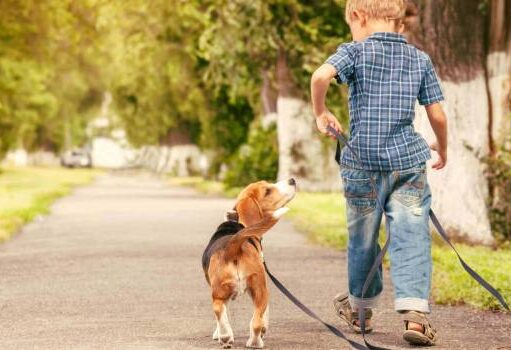 При правильном уходе: кинологи рассказали, что домашние собаки могут жить больше 14 лет