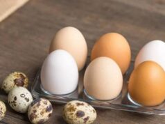 Рекордное снижение производства: эксперты рассказали, что будет с ценами на яйца