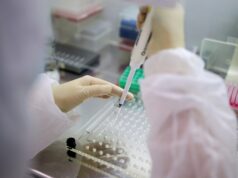 Россияне смогут посетить Намибию по ПЦР-тесту на COVID-19