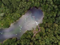 Ростуризм объявил о запуске новых чартеров в Татарстан и Тюменскую область