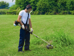 Мотокоса и триммер: в чем различия?