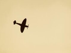 Два человека погибли при падении самолета в Чехии