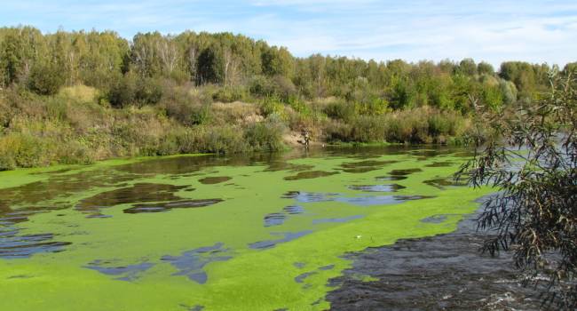 Обернётся катастрофой: экологи рассказали о связи климатических изменений и цветении рек в Украине