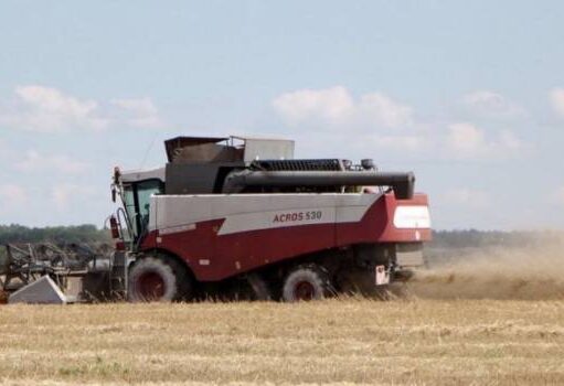 Рекордный урожай не помог: экономист рассказал о подорожании зерновых в Украине