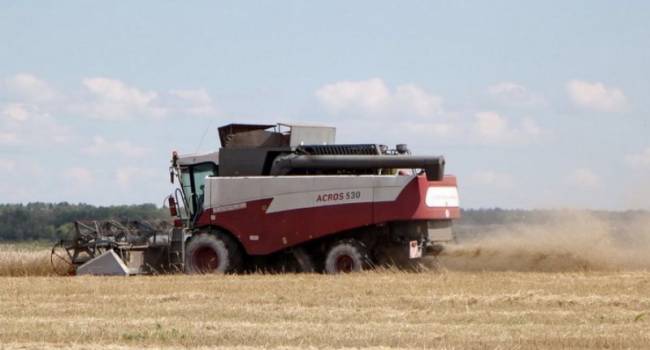 Рекордный урожай не помог: экономист рассказал о подорожании зерновых в Украине