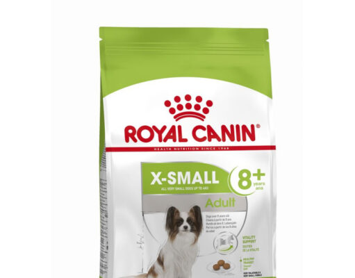 Особенности питания собак мелких пород: какой корм предпочесть?