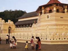 Шри-Ланка отменит ПЦР-тестирование по прибытии для привитых туристов