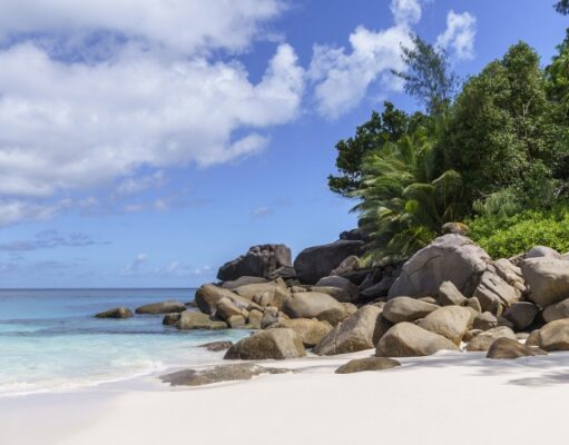 Турпоток из России на Сейшелы побил исторический рекорд