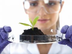 Анализ растений: основные принципы