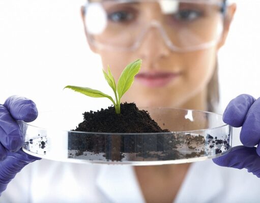 Анализ растений: основные принципы