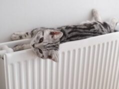 «Надолго может не хватить»: Эксперт рассказал, когда в Украине отключат отопление