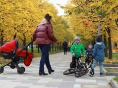 Названы пять главных причин отказа в пособии для беременных и семей с детьми