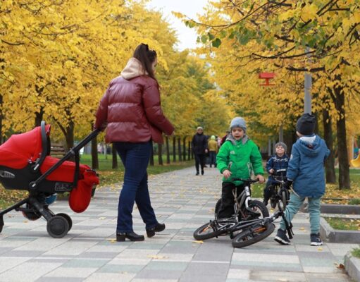 Названы пять главных причин отказа в пособии для беременных и семей с детьми