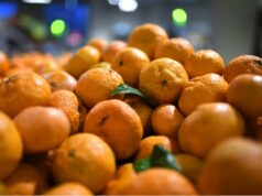 «Руспродсоюз» оценил последствия снижения импорта мандаринов из Турции