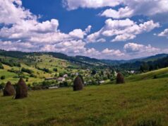 Специалисты заговорили о экологической катастрофе на Закарпатье