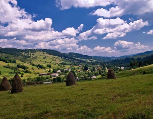 Специалисты заговорили о экологической катастрофе на Закарпатье