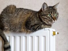 Стало известно, когда в дома украинцев поступит отопление