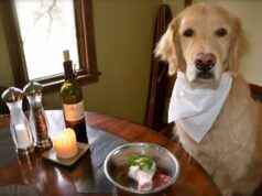 Кинолог перечислил продукты и предметы, которыми может отравиться собака