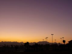 Россия инициировала совместную с Египтом проверку заведений общепита и отелей