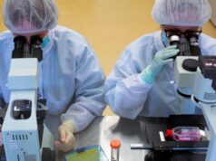 Китайские ученые нашли антитело, нейтрализующее все штаммы COVID-19