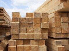 Рослесхоз объяснил рост цен на доски