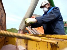 В России возник риск снижения урожая агрокультур