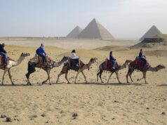 Названы наиболее популярные у россиян турнаправления на 23 Февраля и 8 Марта