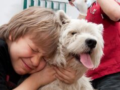 В России назрела реформа ветеринарного образования