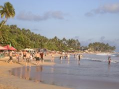 Турагент оценил решение Шри-Ланки отменить визовый сбор для туристов из РФ