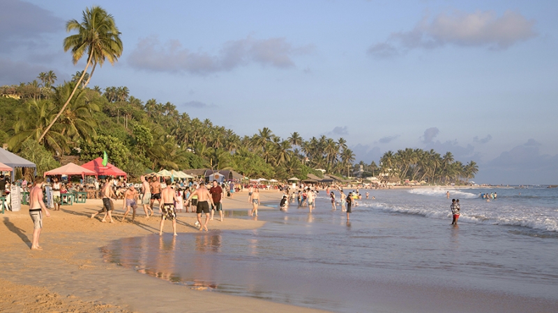 Турагент оценил решение Шри-Ланки отменить визовый сбор для туристов из РФ
