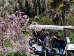 Названы самые популярные среди россиян направления для путешествий весной