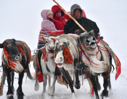 Путин сообщил о росте туризма в районах Крайнего Севера в 2023 году на 41%