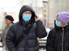 Китайцы оформили рекордное количество российских электронных виз в январе