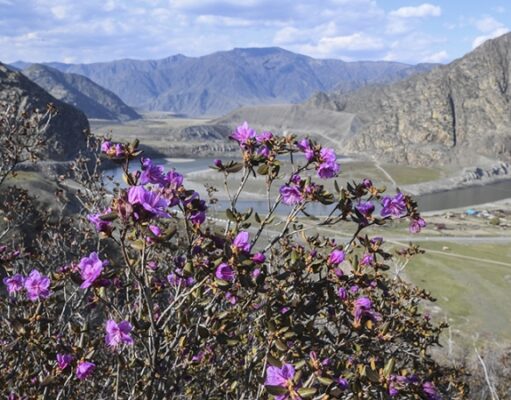 Названы направления для отдыха в мае, где красиво и мало туристов