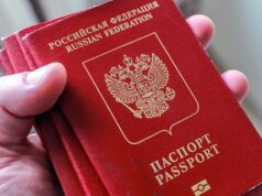 Вице-президент РСТ Горин сообщил о росте количества изъятий паспортов на границе