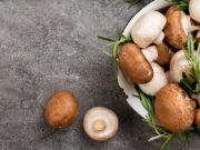 Целебная сила природы: виды лечебных грибов и их применение