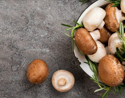 Целебная сила природы: виды лечебных грибов и их применение