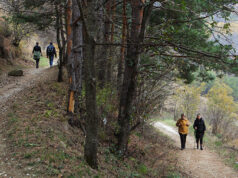 Стали известны самые продолжительные путешествия россиян в бархатный сезон