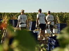 Эксперты рассказали о шести самых необычных профессиях в туризме