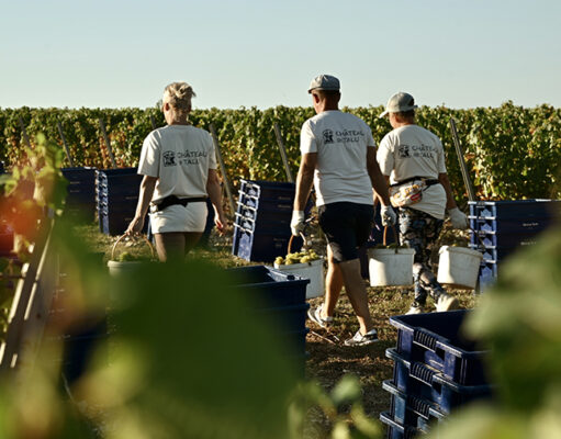 Эксперты рассказали о шести самых необычных профессиях в туризме