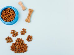 Как выбрать корм для кошек и собак: советы ветеринаров и обзор популярных брендов