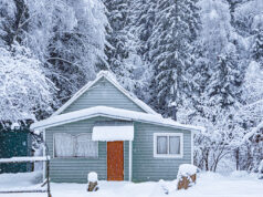 Названы популярные виды отдыха у россиян