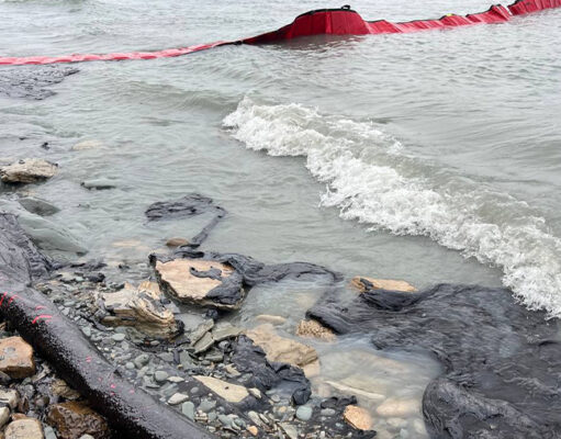 Савельев заявил о старте турсезона в Черном море только после проверки всех пляжей